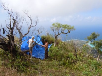 Jean-Yves and Élie set up camp on Mt. Fairurani, Mo'orea, Society Islands, 2011