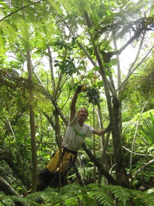 Jean-Yves picks wild oranges, Fatu Iva, Marquesas Islands, 2007