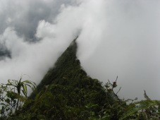 Mt. Aora'i, Tahiti, Society Islands, 2007