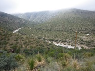 McKittrick Canyon, Guadalupe Mountains National Park, Texas
