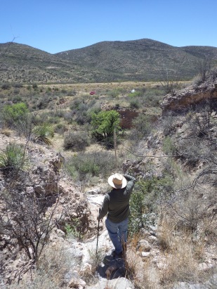 Jesús botanizes in the Mule Mountains, Arizona. April 2017