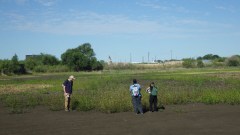 Jeff, Chelsea, and Evelyn observe Polygonum pensylvanicum, I-20 Preserve, Texas (May 2022)